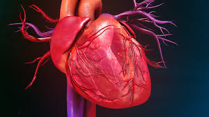 Apa Itu Cardiac Arrest & Bezanya Dengan Heart Attack
